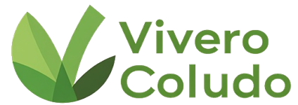 logo coludo